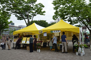 企業・団体ゾーン渋谷区
