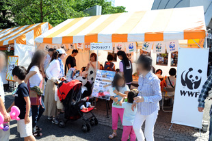 ソーラー・ゾーン