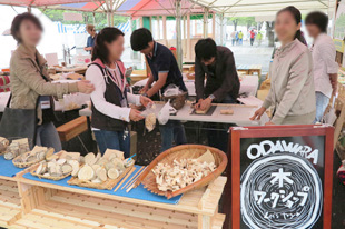 フォレスト・ゾーン