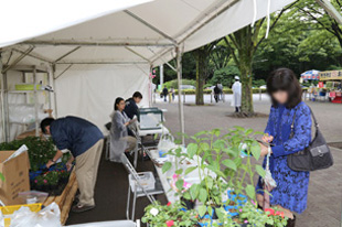 スタンプラリー