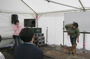 金子真弓先生が教える「犬のしつけ教室」