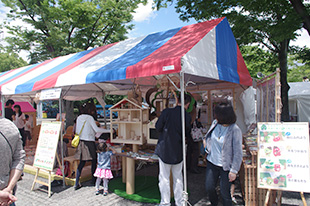 フォレストゾーン