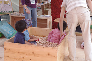 フォレストゾーン