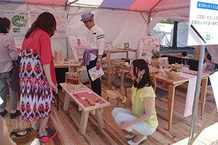 フォレストゾーン