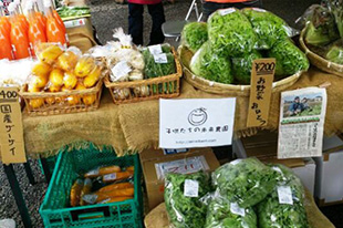 エコ・マルシェ