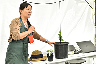 今から始める「緑のカーテン」作り
