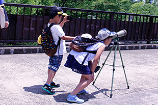 野鳥を探そう！～親子で楽しくバードウォッチング～