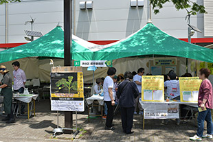 しぜんゾーン 写真2