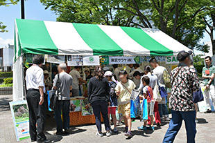 しぜんゾーン 写真1