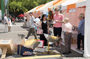 日本ソーラークッキング協会（NGO・NPOゾーン）