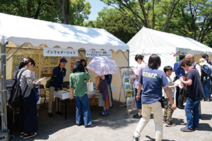 クールチョイス・クイズラリー 写真2