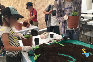 コーヒーの豆かすのたい肥を使ってコーヒーの苗木の植え付けをしよう