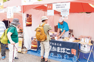 宇和島じゃこ天 島原かまぼこ