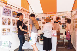 成熟都市とオオカミ・研究会