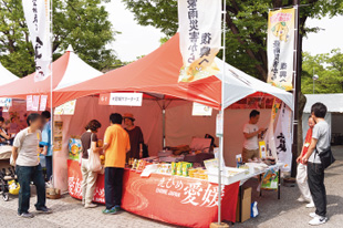 （有） 愛媛サポーターズ