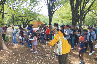 佐々木洋「公園の生きものたんけん隊」