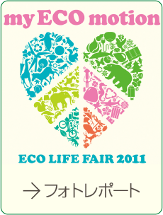 2011年のフォトレポート