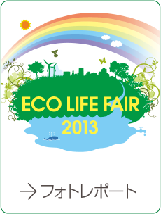 2013年のフォトレポート