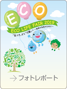 2019年のフォトレポート